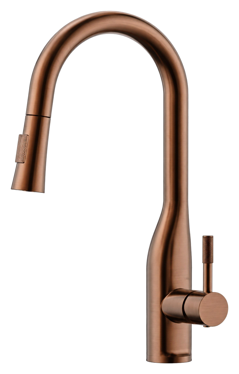 DESIGNER KITCHEN FAUCET