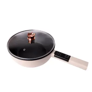 Carysil Multi Function CookingPot